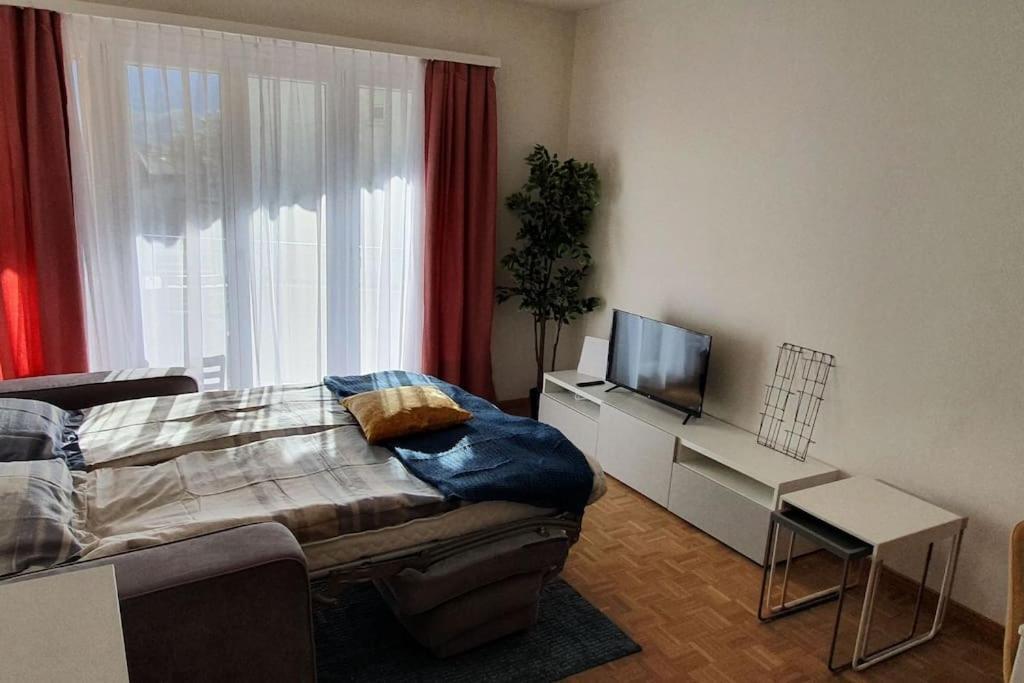 Apartment Via San Carlo In Muralto-Locarno 외부 사진